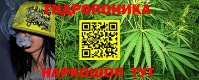 эйфоретик Краснодар