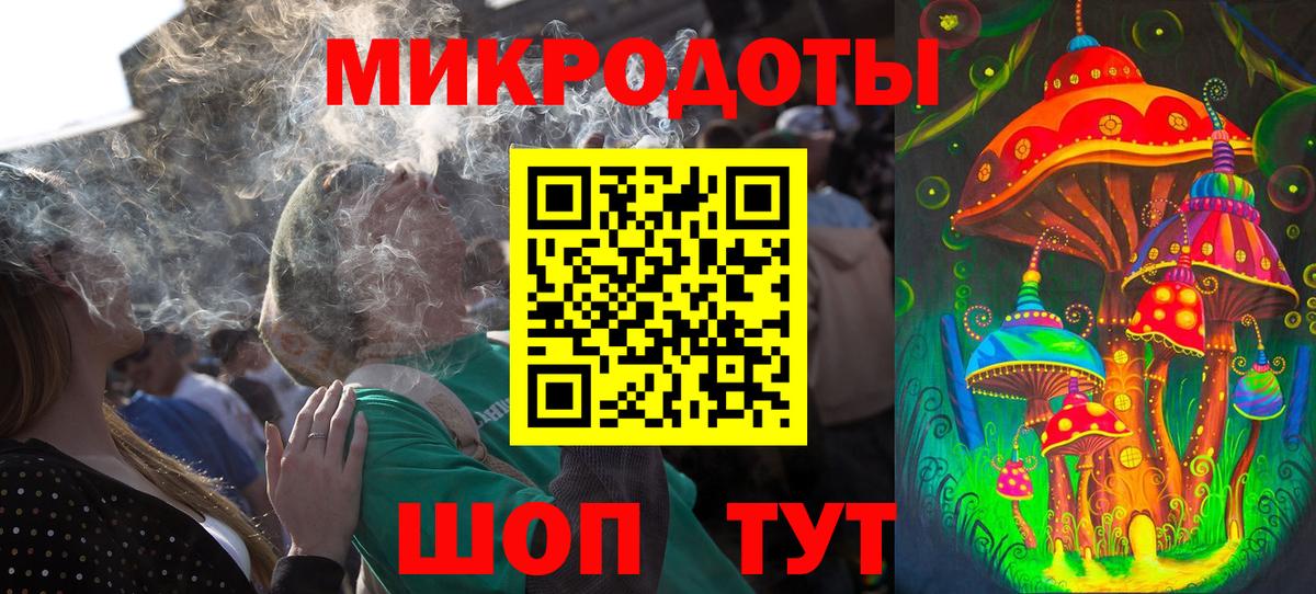 Галлюциногенные грибы Psilocybine cubensis Елабуга